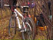 Фотография Бариновой Юлии