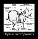 Фотография Бурмакиной Марии