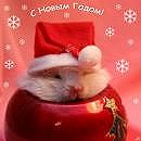 Катюша Кілик фотография #5 (источник - https://vk.com/id63524322)