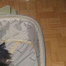 Міша Якимчук фотография #28 (источник - https://vk.com/id155178981)
