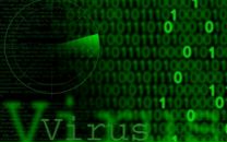 Фотография Гроссман Екатерины