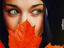 Gul Gm фотография #4 (источник - https://vk.com/id146931988)