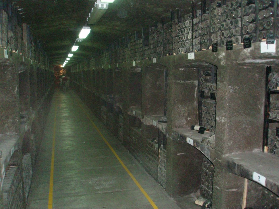 Сергей Гречко фотография #12