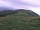 Віталік Пелепець фотография #30 (источник - https://vk.com/id88660464)