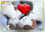 Фотография Хайрутдиновой Анастасии