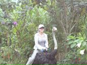 Фотография Курбатов Юрий