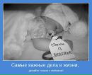 Фотография Гатаулин Евгений