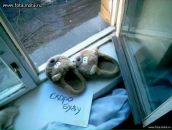 Фотография Tsaralova Марины