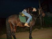 Фотография Тильбучушки Катюшки