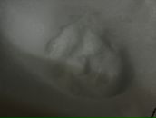 Фотография Окунева Егора