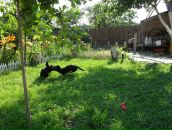 Александр Лысов фотография #21 (источник - https://vk.com/id1757321)