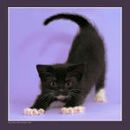 Фотография Калининой Ирины