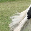 Каріно4ка♥ Шрамко фотография #44 (источник - https://vk.com/id147791993)