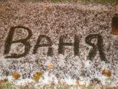 Фотография Анхеля Мэтью