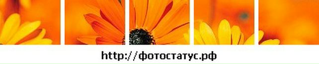 Аліна Чук фотография #30 (источник - https://vk.com/id132706248)