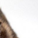 Юля Матвійчук фотография #19 (источник - https://vk.com/id135907201)