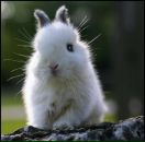 Фотография Лагуновой Марии