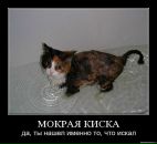 Masha :-) фотография #22 (источник - https://vk.com/id10666606)