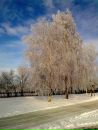 Володя Сміленко фотография #14 (источник - https://vk.com/id88687668)