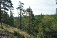 Сергей Д фотография #44 (источник - https://vk.com/id1361995)