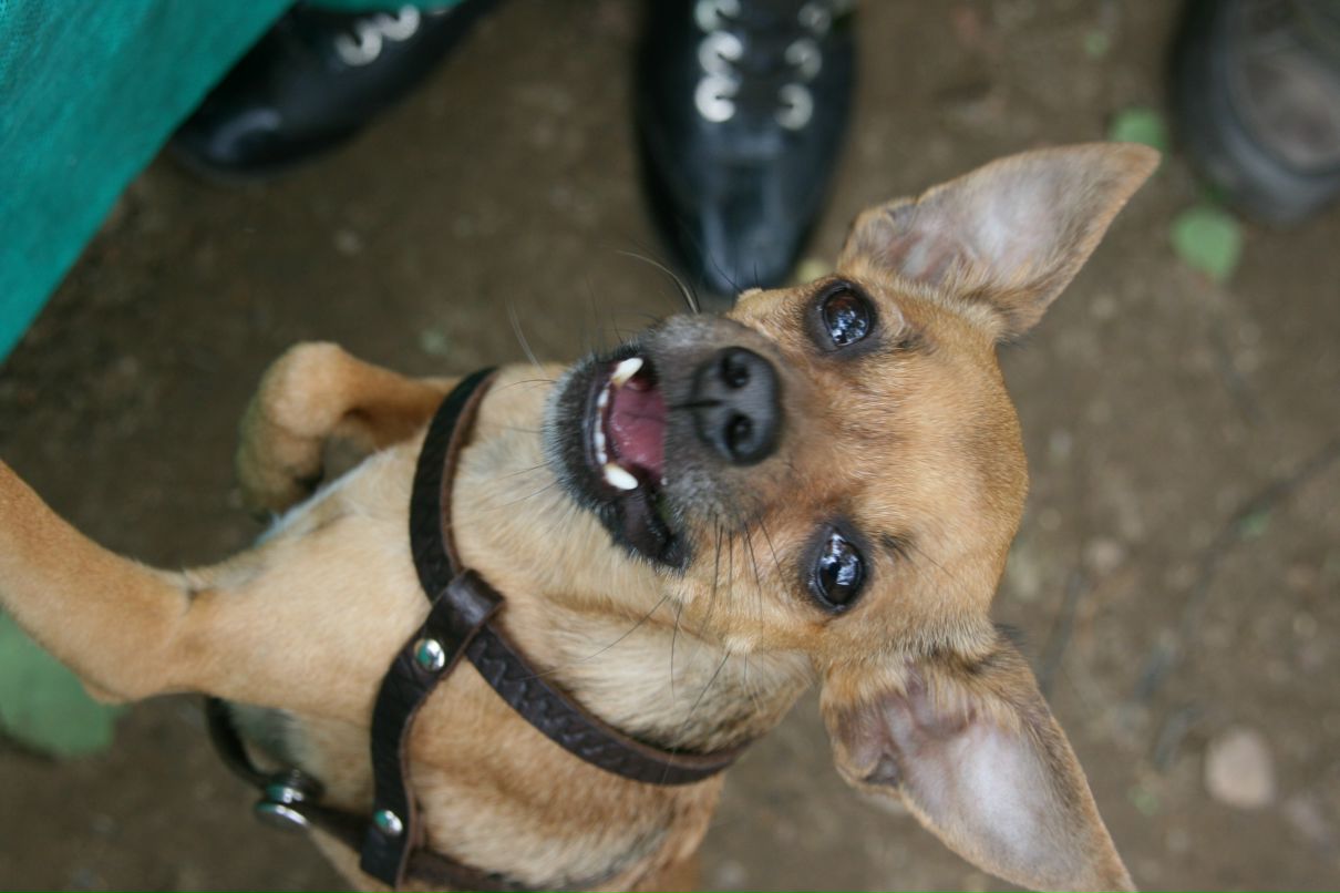 Егор Тимофеев фотография #14