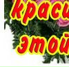 Діана Бочкова фотография #18 (источник - https://vk.com/id70409990)