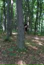 Христина Свідрак фотография #43 (источник - https://vk.com/id35870827)
