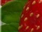 Яна Excale фотография #38 (источник - https://vk.com/id727315)