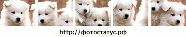 Вика Третьякова фотография #42 (источник - https://vk.com/id808294)