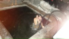 Фотография Зайцевой Светланы