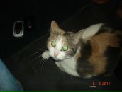 Фотография Aaaaa Андрюхи