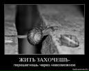 Марічка Михайленко фотография #43 (источник - https://vk.com/id29576015)