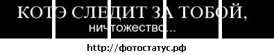 Юлія Кошкіна фотография #38 (источник - https://vk.com/id6791872)