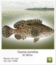 Иван Бабинец фотография #42 (источник - https://vk.com/id120069385)