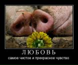 Тетяна Аліфіренко фотография #25 (источник - https://vk.com/id66357014)