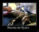 Фотография Suchlove Anton