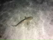 Фотография Зотовой Оксаны