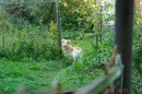 Юрій Дорош фотография #44 (источник - https://vk.com/id55282605)