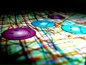 Фотография Якимчук Екатерины