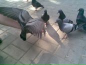 Фотография Борисовой Екатерины