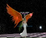 Фотография Шевченко Натальи