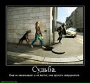 Андрій Лобода фотография #27 (источник - https://vk.com/id27868600)