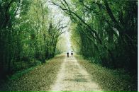 Фотография Ильина Антона