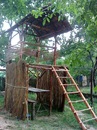 Норбі Мийсар фотография #21 (источник - https://vk.com/id133157713)