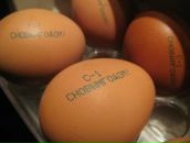 Фотография Сизовой Натальи