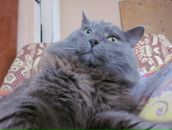 Фотография Губина Алексея