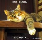 Фотография Онуфриева Владимира