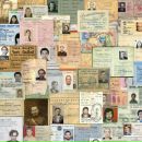 Фотография Шафранова Алексея