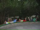 Вікторія Вітів фотография #11 (источник - https://vk.com/id126341914)