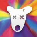 Фотография Novok Alex